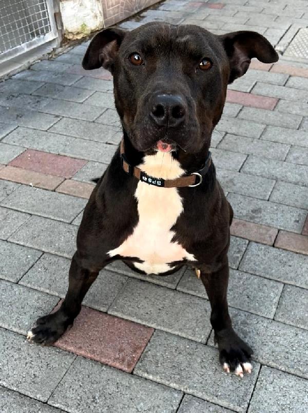 MAX CERCA CASA Foto 2